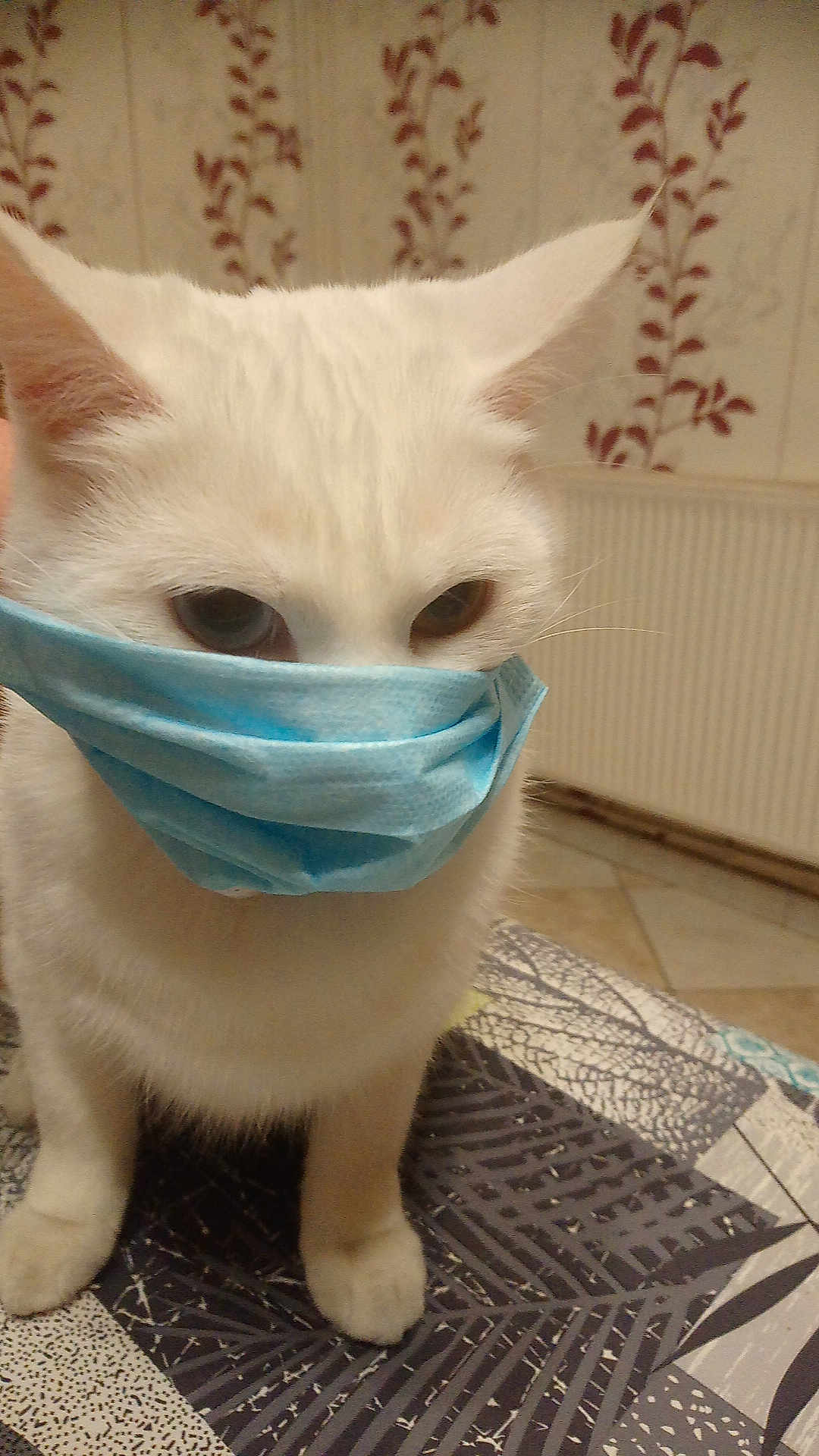 Blanche Chanelle Bella