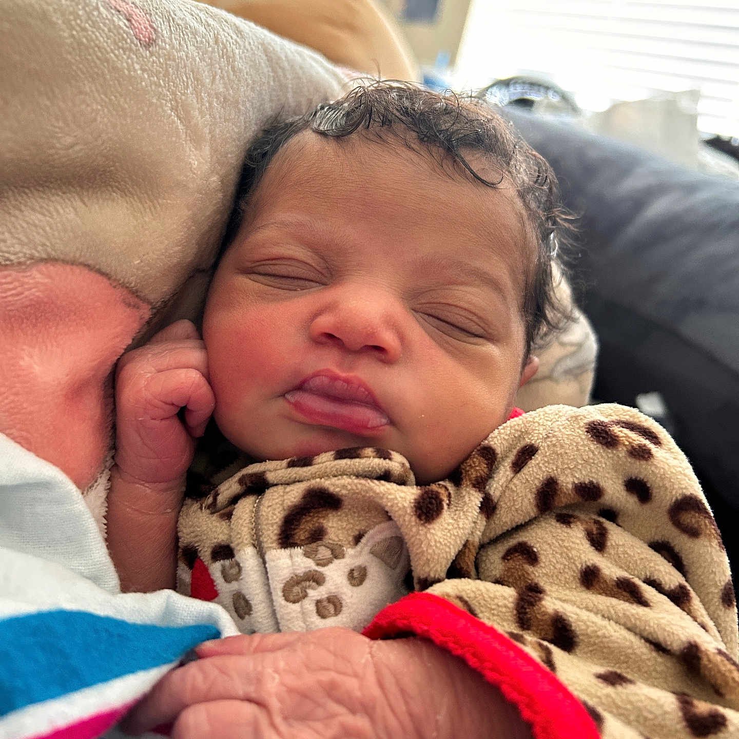Khelani is registered to the contest to win money with this photo: newborn, baby, sleeping, blanket, leopard_print, hand, face, cozy, indoors, pillow, infant, child, cute, warm, soft, peaceful, portrait, person, rest, closeup