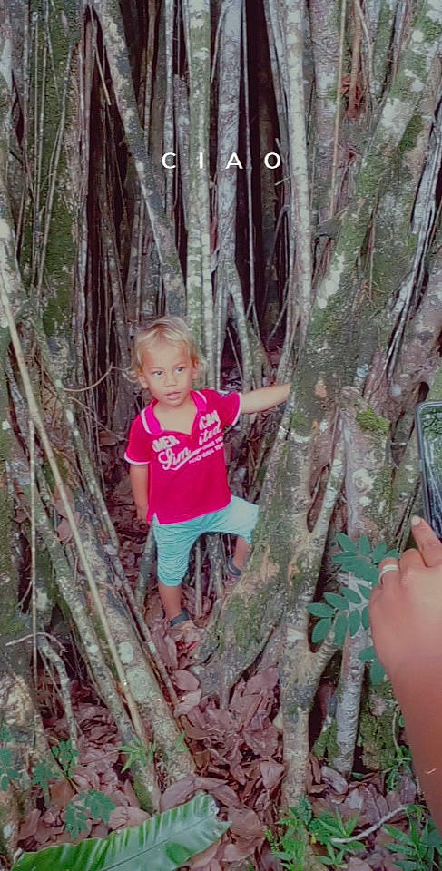 Puaotekohu a rejoint le concours — aidez-le/la à gagner de superbes lots ! adaptation, baby_toddler_clothing, forest, fun, grass, jungle, nature_reserve, old_growth_forest, people_in_nature, person, plant, shorts, t_shirt, terrestrial_plant, toddler, tree, trunk, twig, vegetation, wood