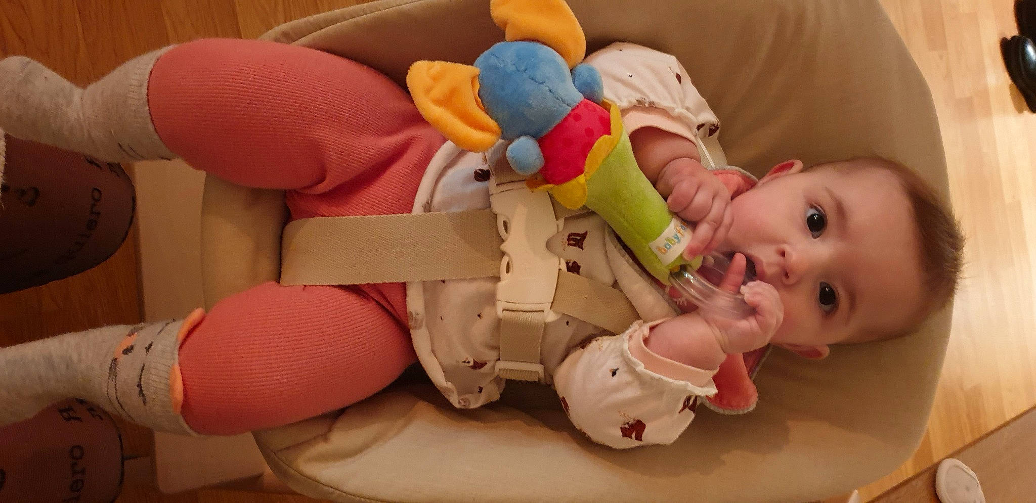 Inès participe au concours pour gagner de l'argent avec cette photo : baby, baby_products, baby_sleeping, baby_toddler_clothing, baby_toys, carmine, child, comfort, fictional_character, head, human_body, nail, person, personal_protective_equipment, pink, plush, skin, stuffed_toy, surprise, textile