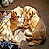 Cooper And Vincent