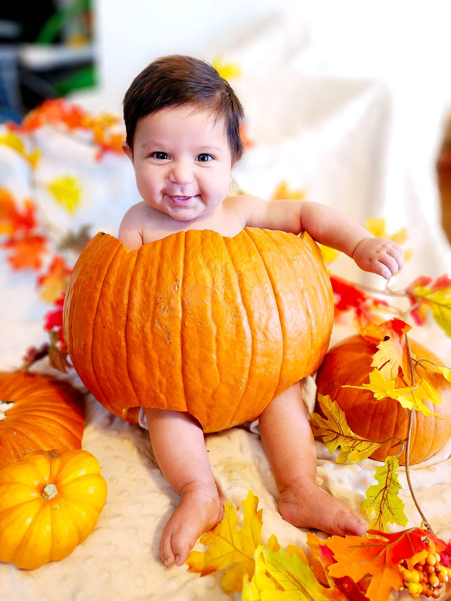 Alanzo is registered to the contest to win money with this photo: calabaza, cucurbita, eye, facial_expression, fruit, gourd, happy, human_body, leaf, natural_foods, orange, organ, people_in_nature, person, plant, pumpkin, smile, squash, vegetable, winter_squash