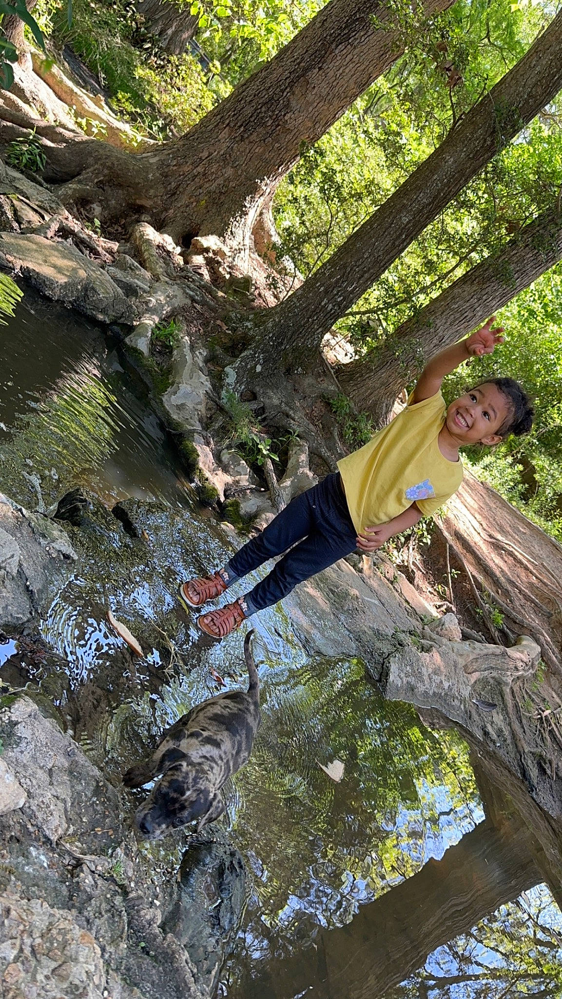 Maryjane is registered to the contest to win money with this photo: adventure, bedrock, biome, branch, forest, fun, joy, jungle, leisure, nature_reserve, people_in_nature, person, plant, recreation, rock, tree, trunk, vegetation, wilderness, wood