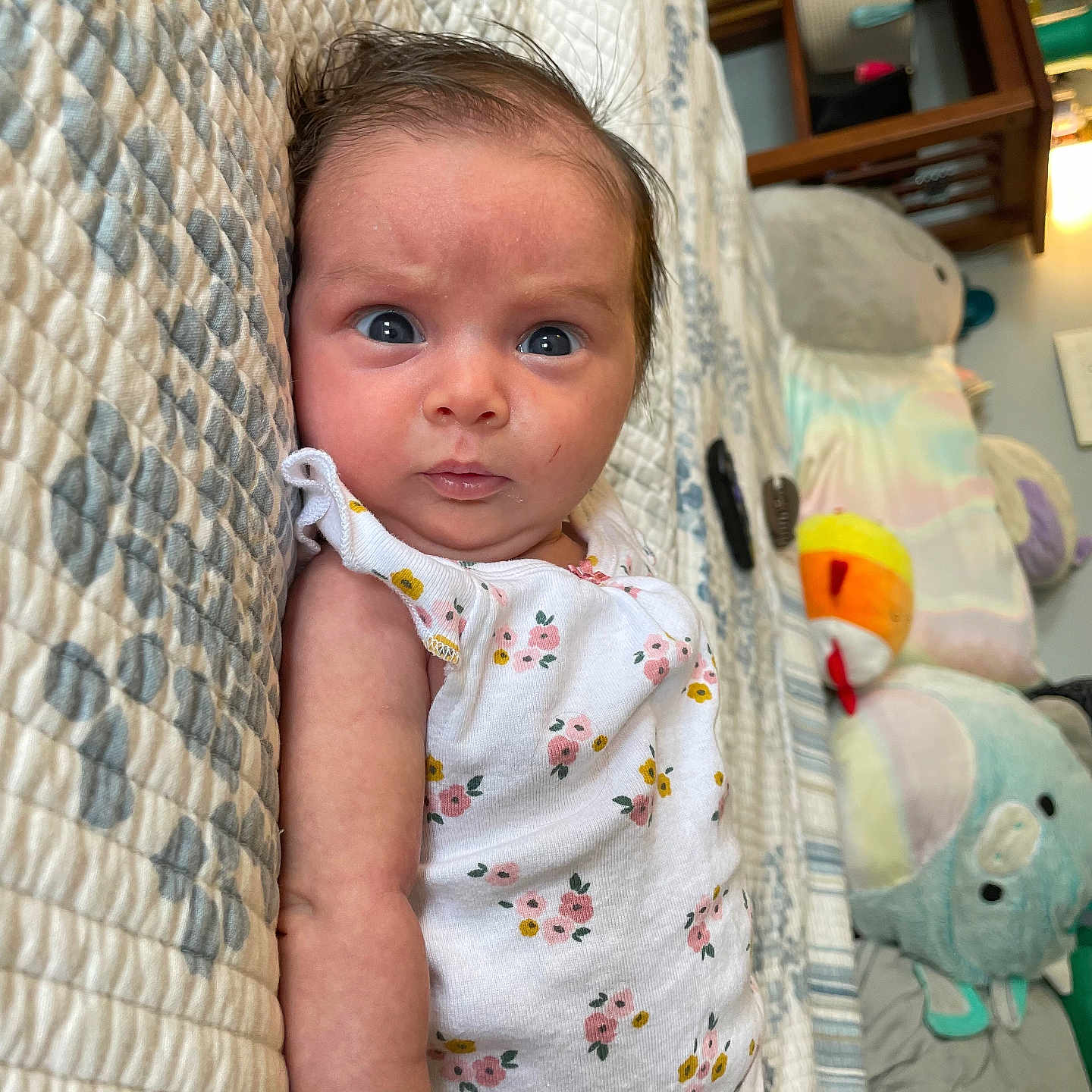 Maya joined the competition — help win amazing prizes! baby, bed, bedroom, blanket, couch, crib, cushion, face, furniture, head, homedecor, indoors, infantbed, linen, newborn, person, photography, portrait, room, toy