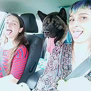 Tyron participe au concours pour gagner de l'argent avec cette photo : back_seat, car_interior, daylight, dog, driver, front_seat, happy, large_dog, long_hair, passenger, patterned_clothing, pet, playful, portrait, seatbelt, short_hair, smiling, striped_shirt, tongue_out, woman