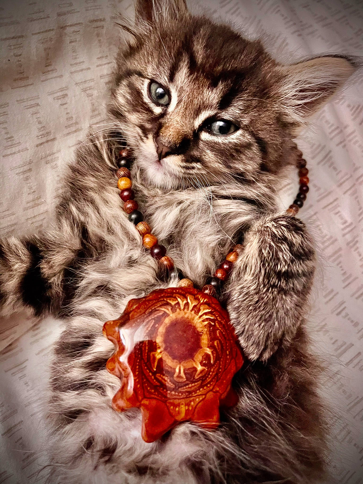 Forest is registered to the contest to win money with this photo: art, carnivore, cat, claw, domestic_short_haired_cat, fashion_accessory, felidae, fur, illustration, iris, pattern, paw, photo_caption, small_to_medium_sized_cats, snout, symmetry, tail, terrestrial_animal, whiskers, wildlife