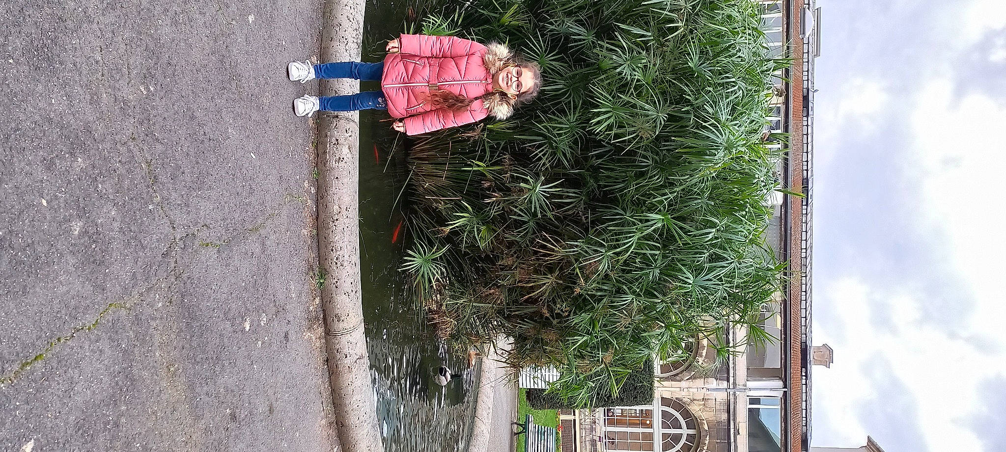 Mélissa participe au concours pour gagner de l'argent avec cette photo : asphalt, christmas_decoration, concrete, conifer, evergreen, facade, fir, grass, interior_design, joy, larch, person, plant, road_surface, shadow, shrub, sidewalk, toddler, tree, trunk