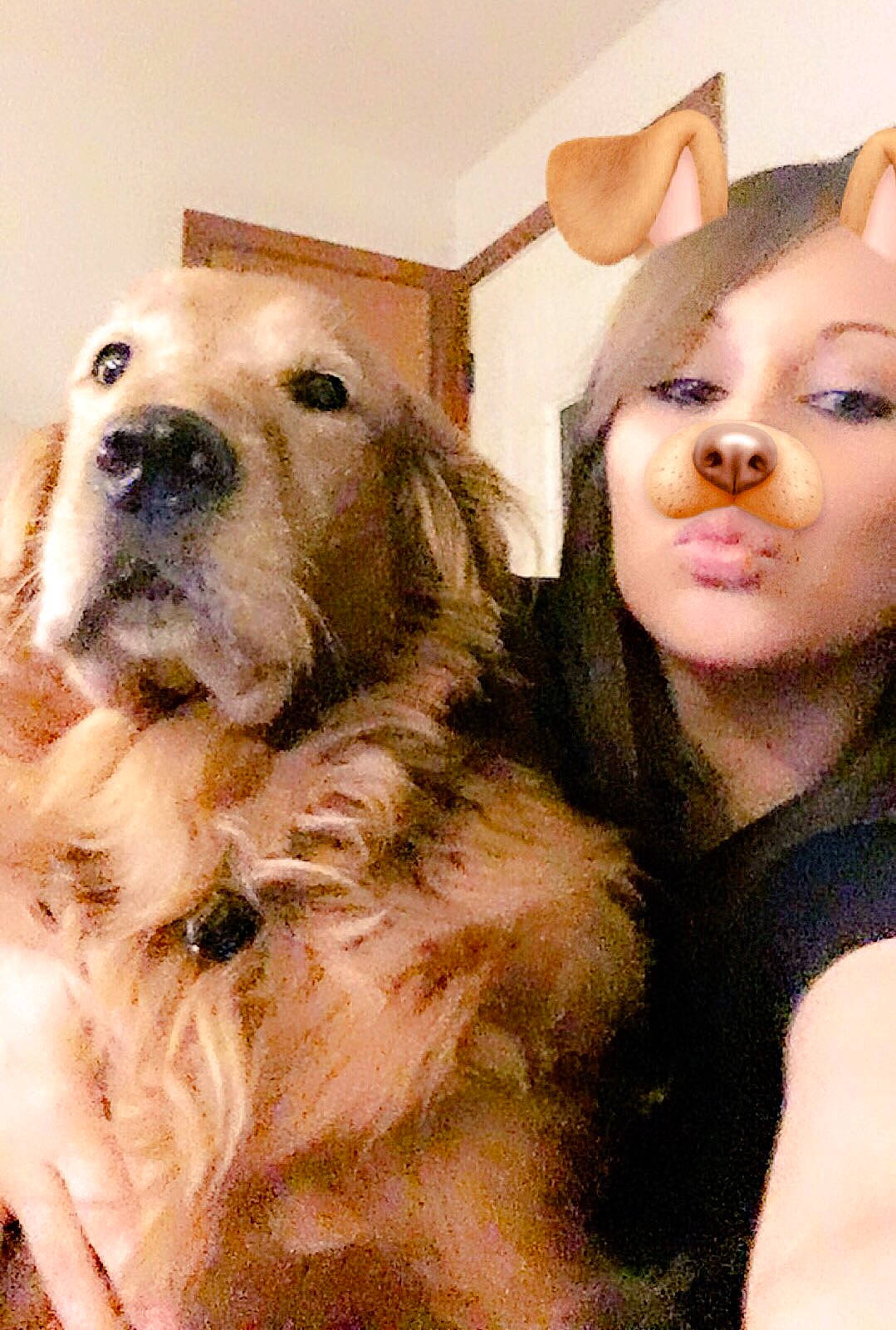 Hunter is registered to the contest to win money with this photo: canidae, carnivore, companion_dog, dog, dog_breed, fawn, golden_retriever, mammal, puppy_love, retriever, sporting_group