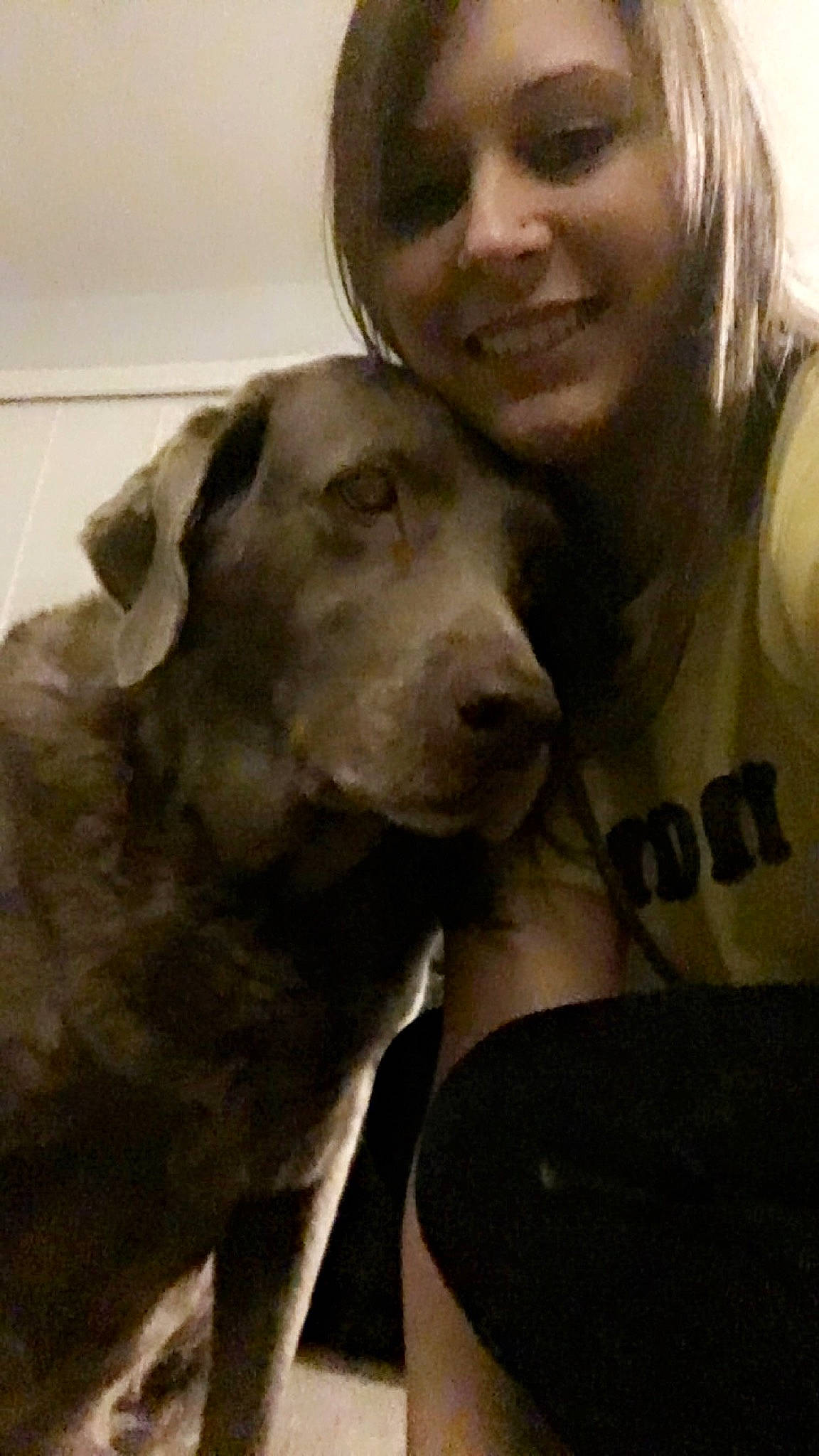 Chloe is registered to the contest to win money with this photo: canidae, carnivore, companion_dog, dog, dog_breed, fawn, labrador_retriever, retriever, selfie, sporting_group