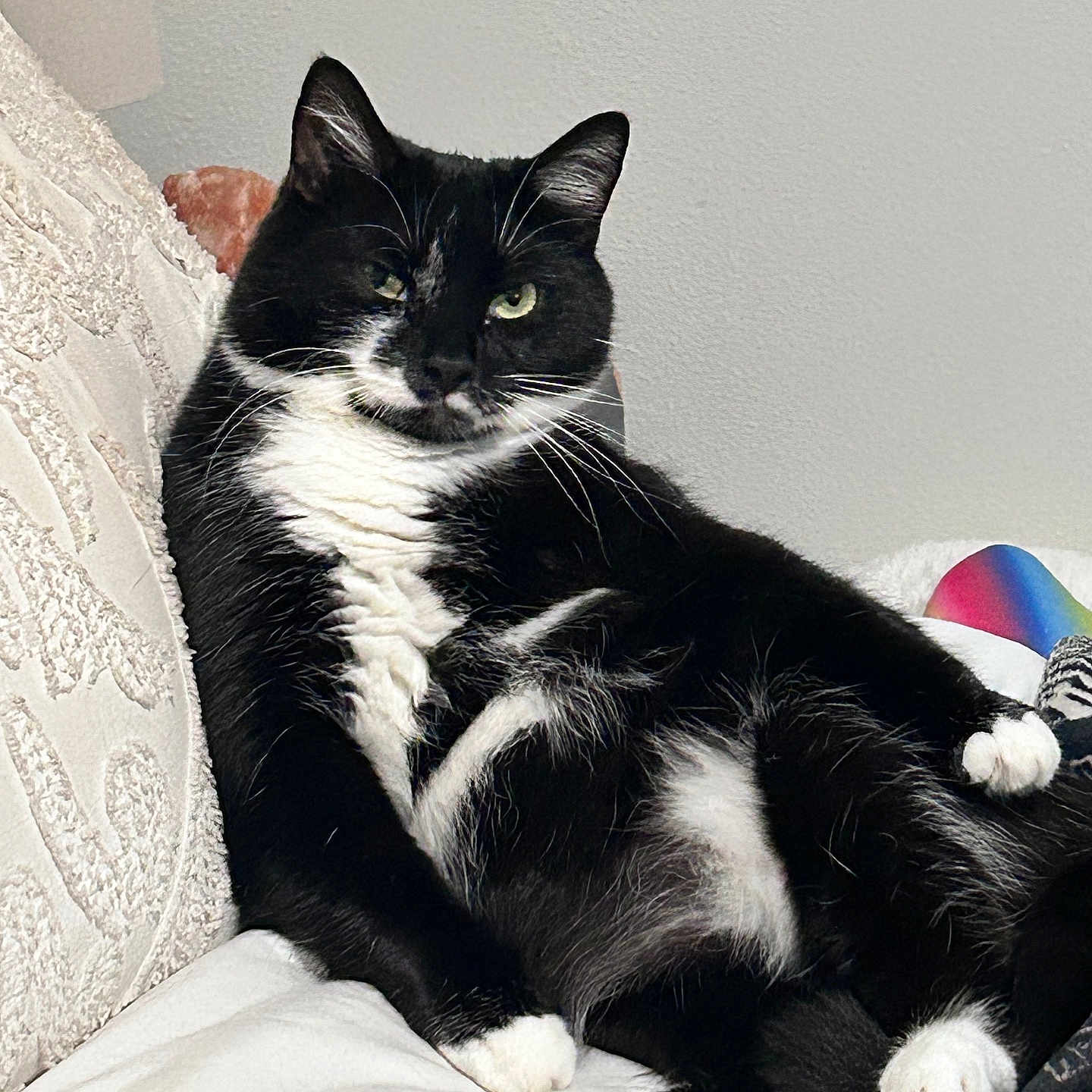 Kiki