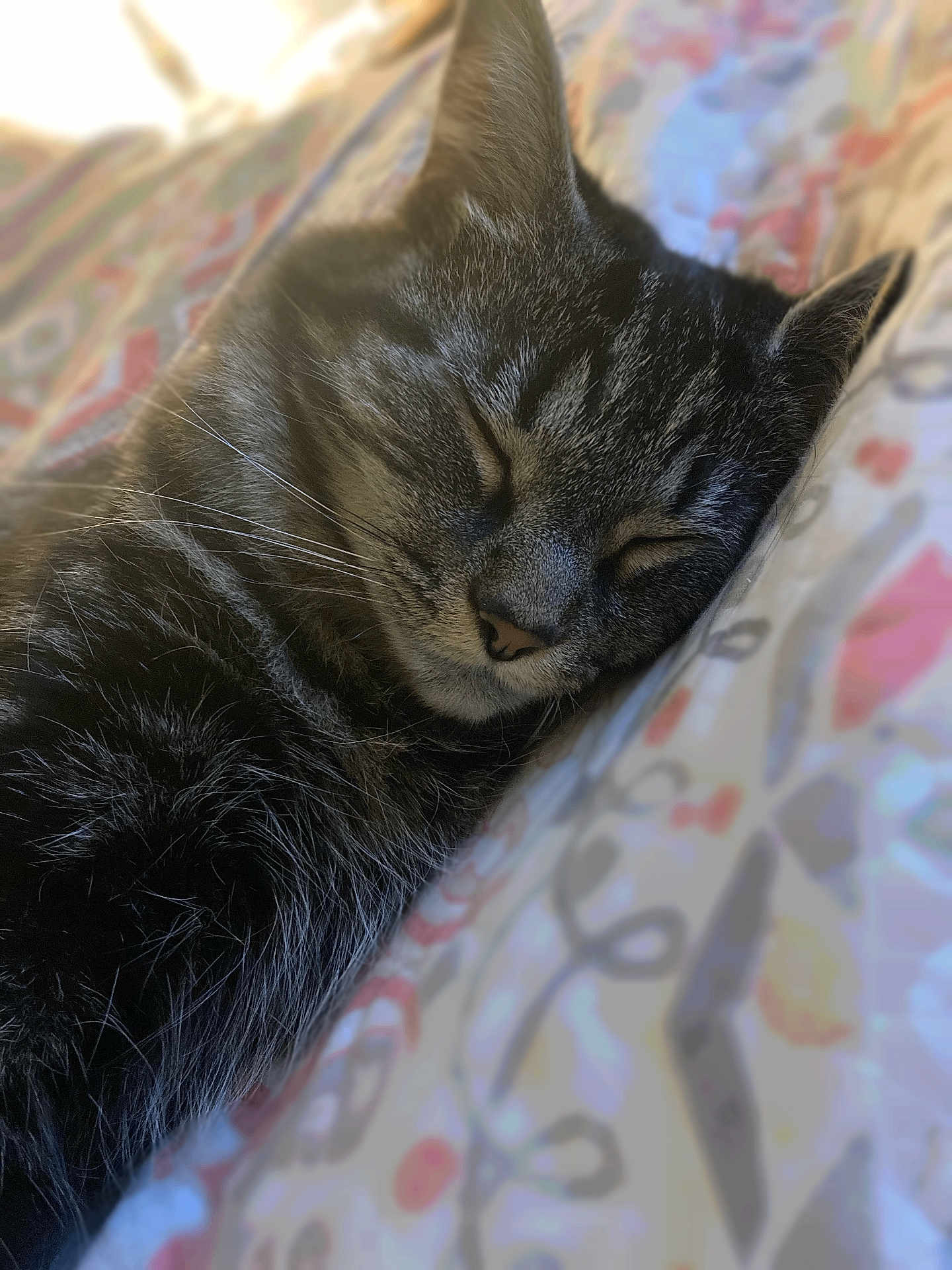 Pepper