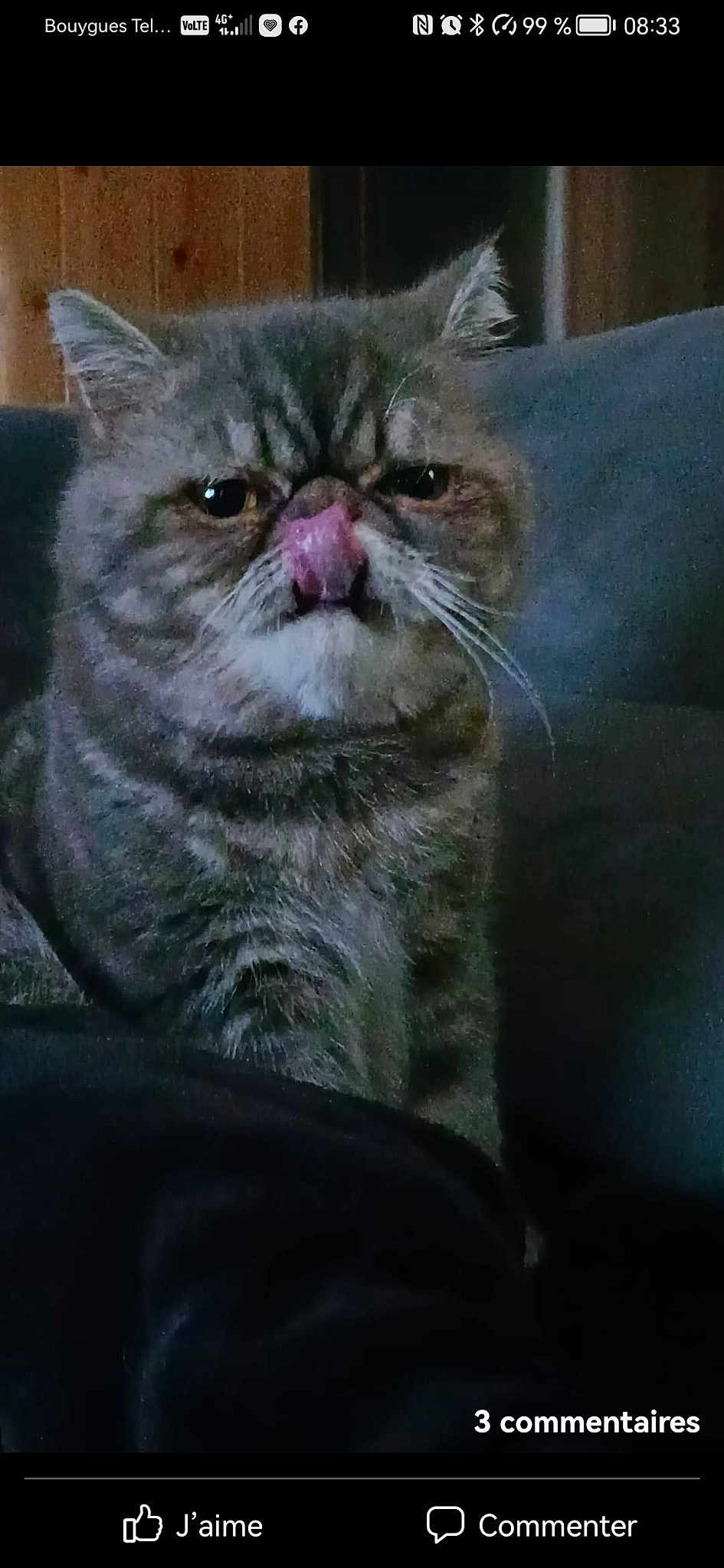 Garfield
