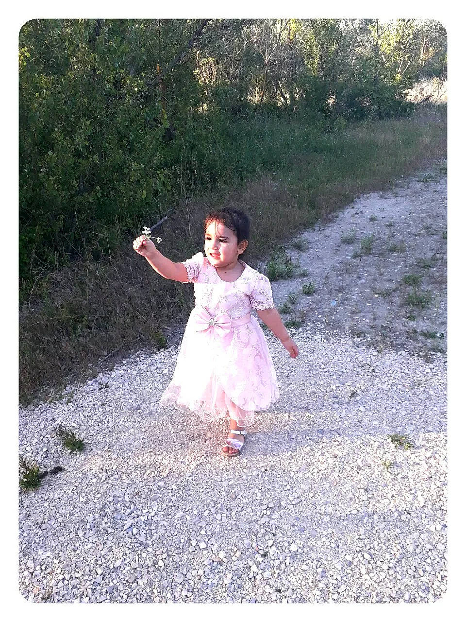 Sakina a rejoint le concours — aidez-le/la à gagner de superbes lots ! child, dress, gesture, grass, happy, leaf, people_in_nature, person, photograph, photography, plant, smile, snapshot, stock_photography, summer, toddler, tree, walking