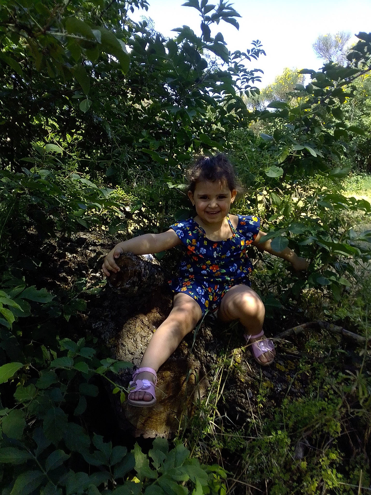 Souhila a rejoint le concours — aidez-le/la à gagner de superbes lots ! botany, fawn, forest, grass, green, joy, jungle, leisure, natural_environment, person, photography, plant, plant_community, rainforest, recreation, shrub, tree, vacation, valdivian_temperate_rain_forest, vegetation