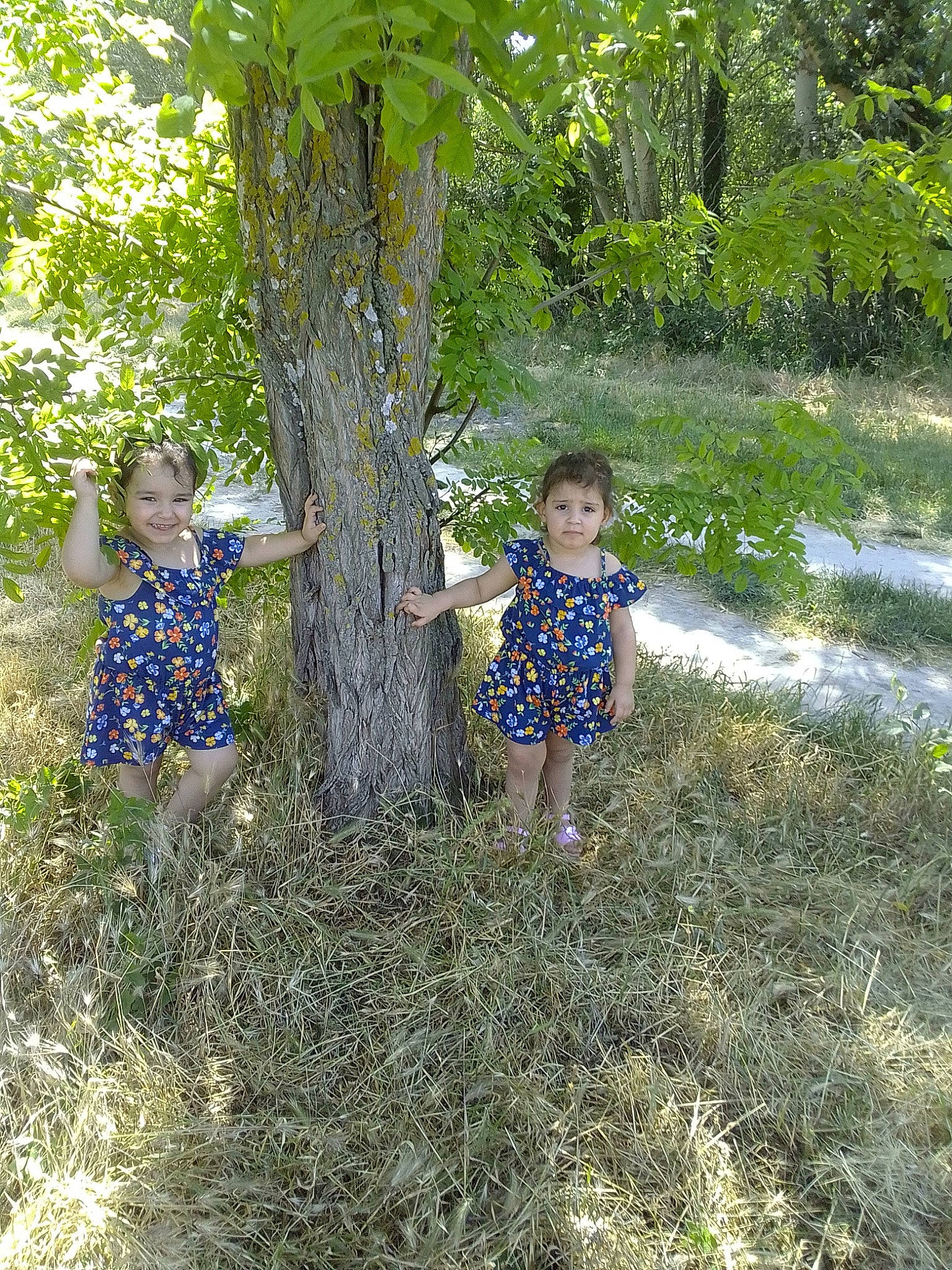 Souhila a rejoint le concours — aidez-le/la à gagner de superbes lots ! adaptation, botany, branch, child, fun, grass, grass_family, joy, leaf, people_in_nature, person, plant, shrub, spring, summer, toddler, tree, trunk, vacation, woody_plant