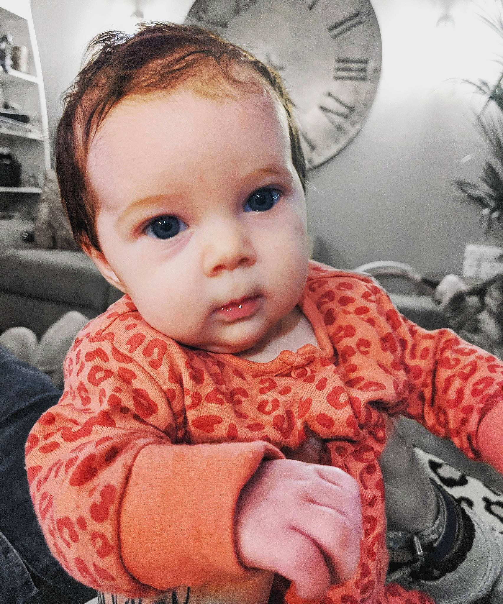 Beatrix joined the competition — help win amazing prizes! baby, baby_toddler_clothing, cheek, child, chin, clock, cool, eyelash, flowerpot, fun, happy, houseplant, iris, lip, neck, person, plant, sitting, skin, sleeve