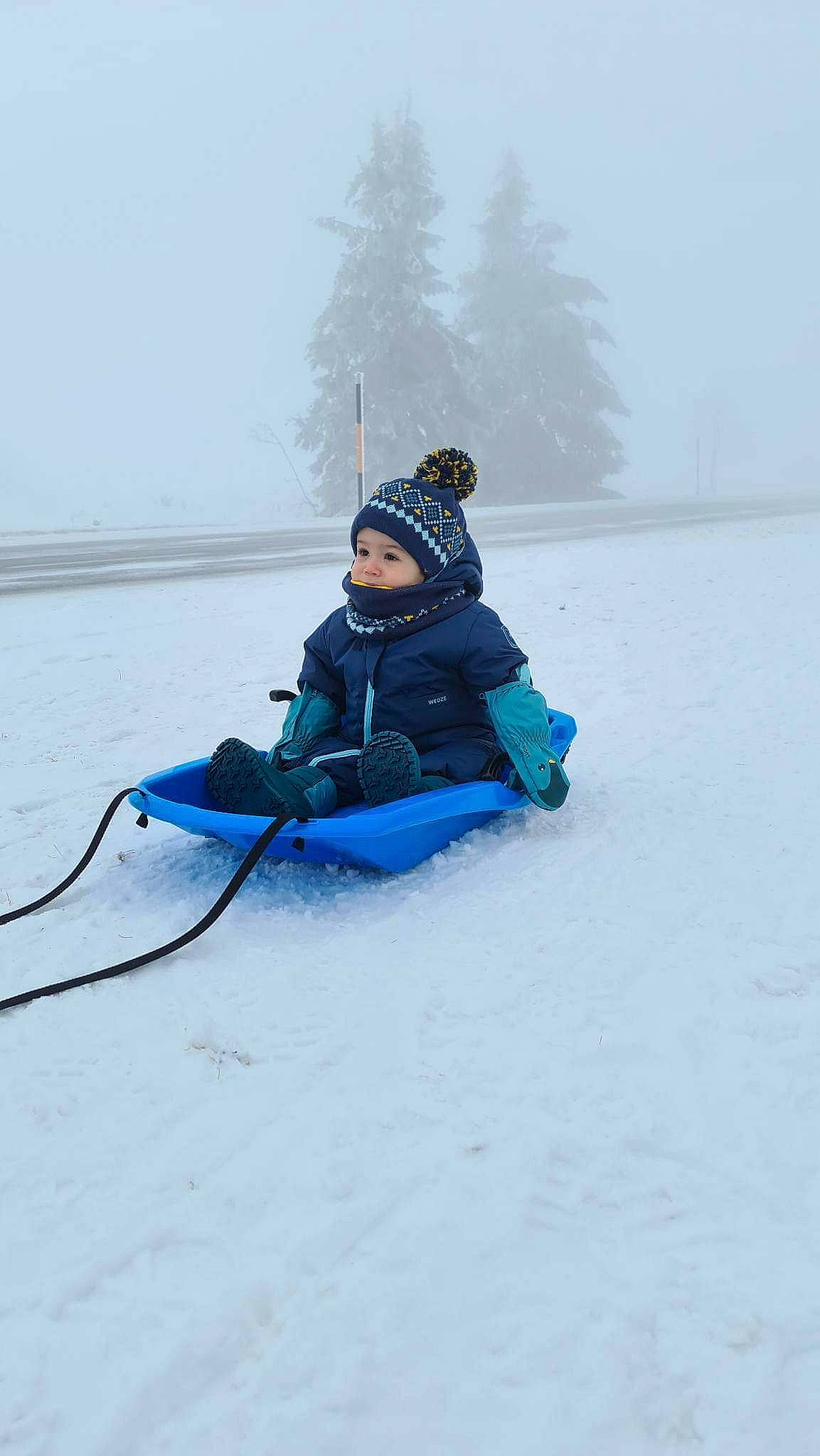 Iyan participe au concours pour gagner de l'argent avec cette photo : electric_blue, fog, freezing, headwear, helmet, ice_cap, jacket, leisure, person, personal_protective_equipment, recreation, ski_equipment, skier, sled, sledding, slope, snow, sports, sports_equipment, tree
