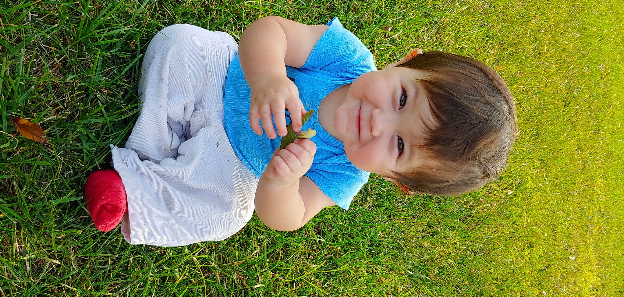Jae joined the competition — help win amazing prizes! baby, baby_toddler_clothing, child, electric_blue, finger, fun, gesture, grass, grassland, hand, happy, joint, joy, lawn, leg, leisure, meadow, people_in_nature, person, plant
