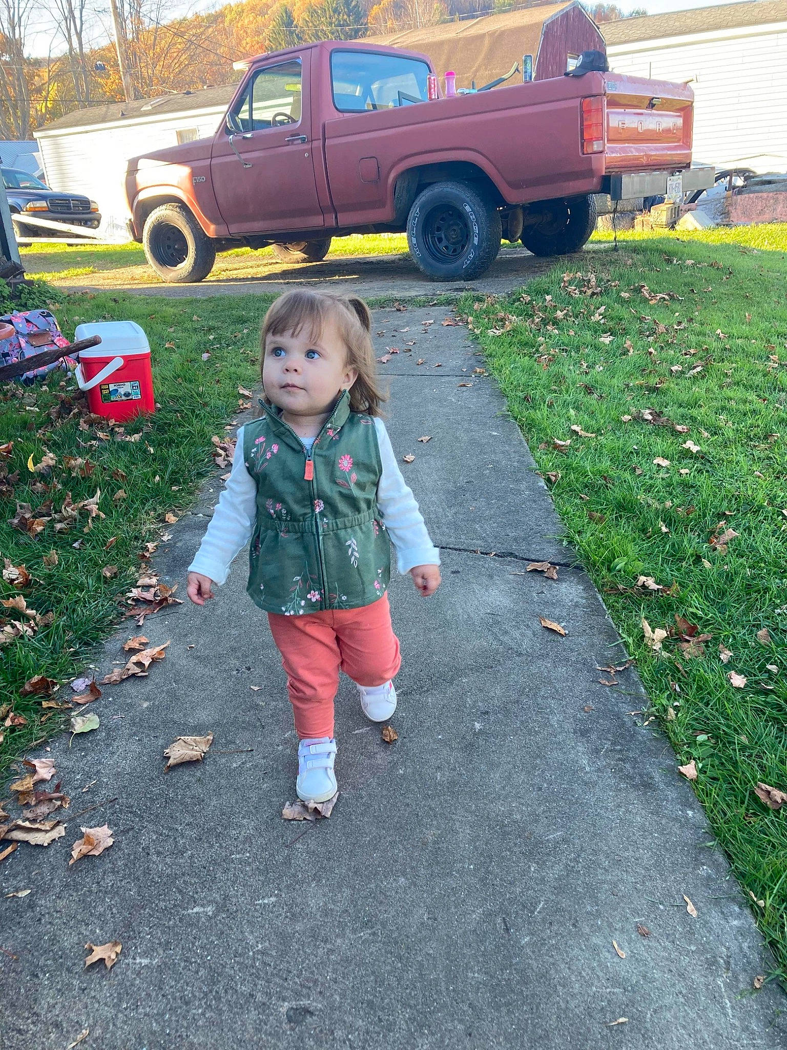 Armani joined the competition — help win amazing prizes! asphalt, automotive_exterior, automotive_tire, bumper, car, coupe_utility, fender, grass, land_vehicle, light_commercial_vehicle, motor_vehicle, person, plant, road_surface, sidewalk, tire, toddler, tree, truck, vehicle