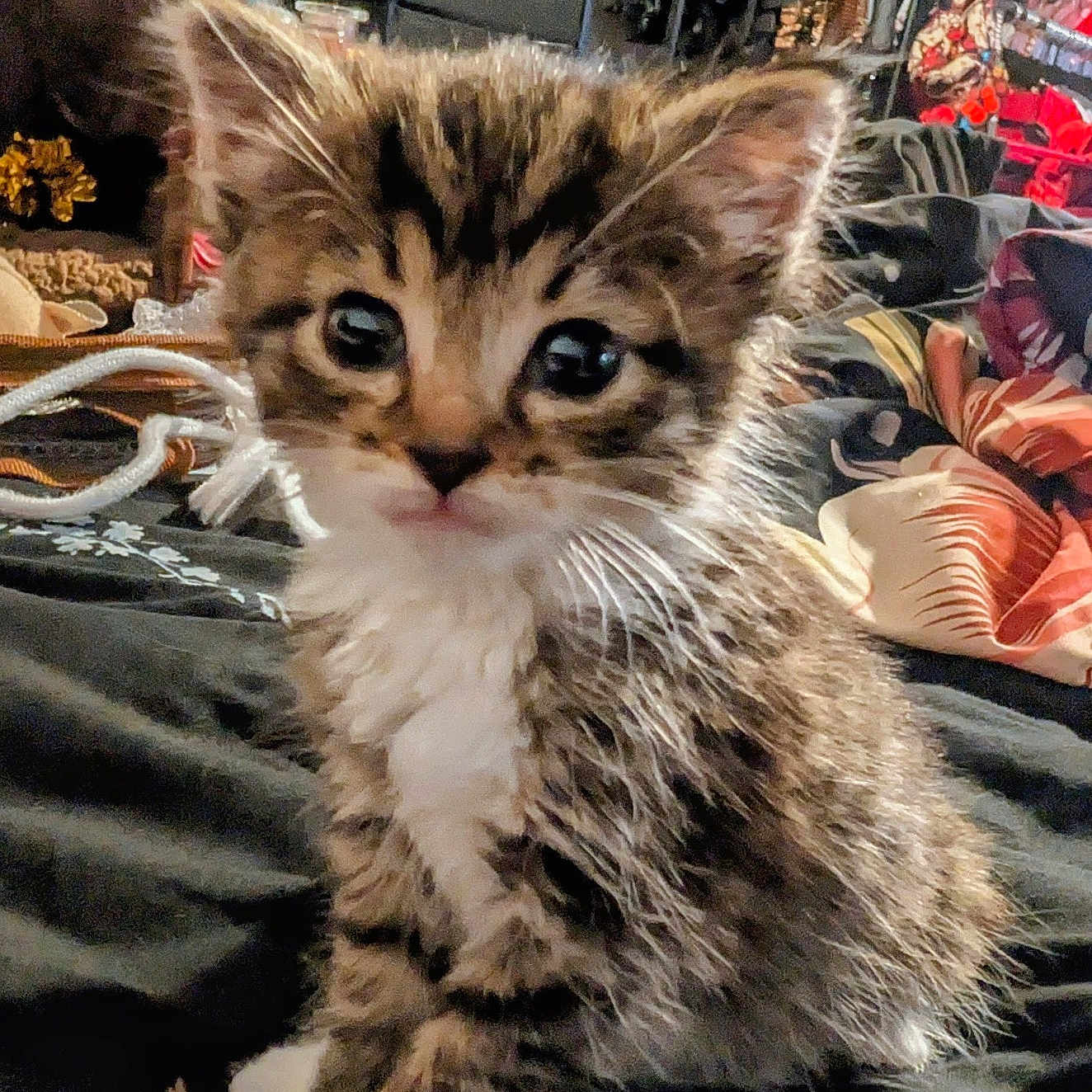 Bootsy
