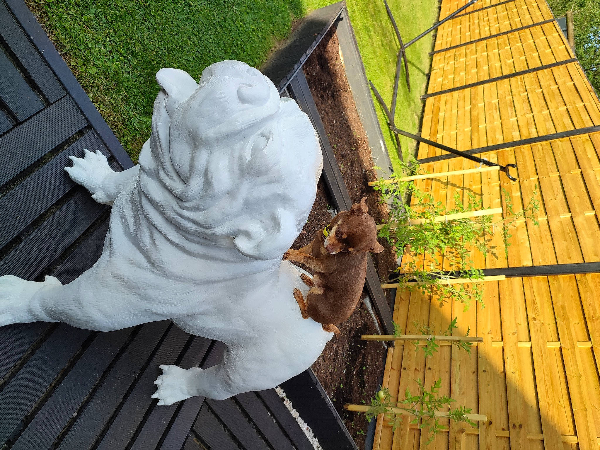 Letty participe au concours pour gagner de l'argent avec cette photo : art, carving, garden, grass, lawn_ornament, leisure, monument, nonbuilding_structure, outdoor_furniture, people_in_nature, plant, recreation, sculpture, statue, tail, toy, tree, umbrella, wing, wood