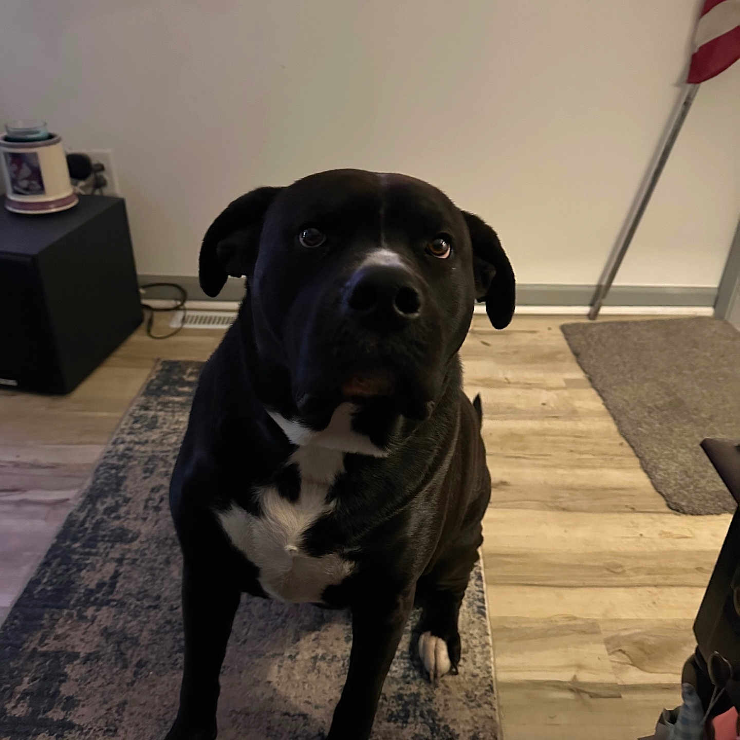 Duke