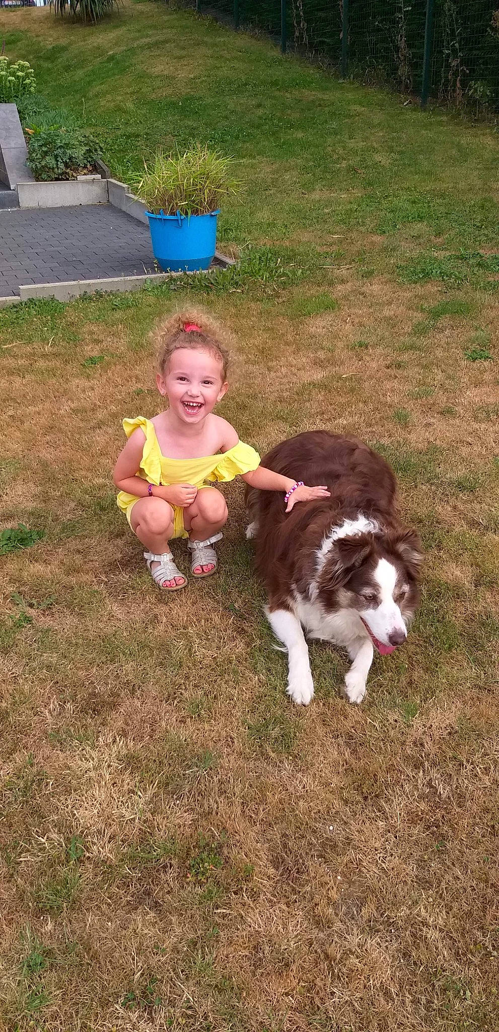 Giulianna participe au concours pour gagner de l'argent avec cette photo : carnivore, child, companion_dog, dog, dog_breed, fawn, flowerpot, fun, grass, grass_family, happy, herding_dog, joy, lawn, people_in_nature, person, plant, shorts, smile, tail