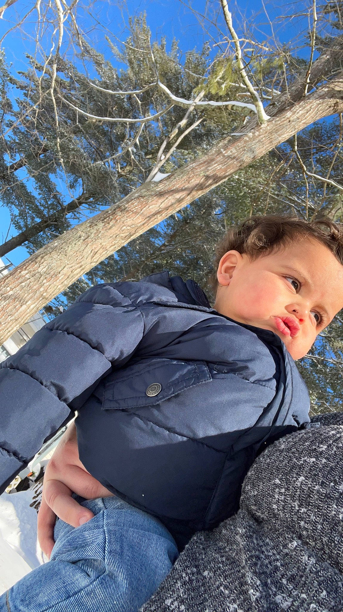 Zakariye is registered to the contest to win money with this photo: baby, branch, comfort, denim, electric_blue, freezing, fun, grass, leisure, people_in_nature, person, plant, sitting, sky, sleeve, spring, toddler, tree, twig, winter