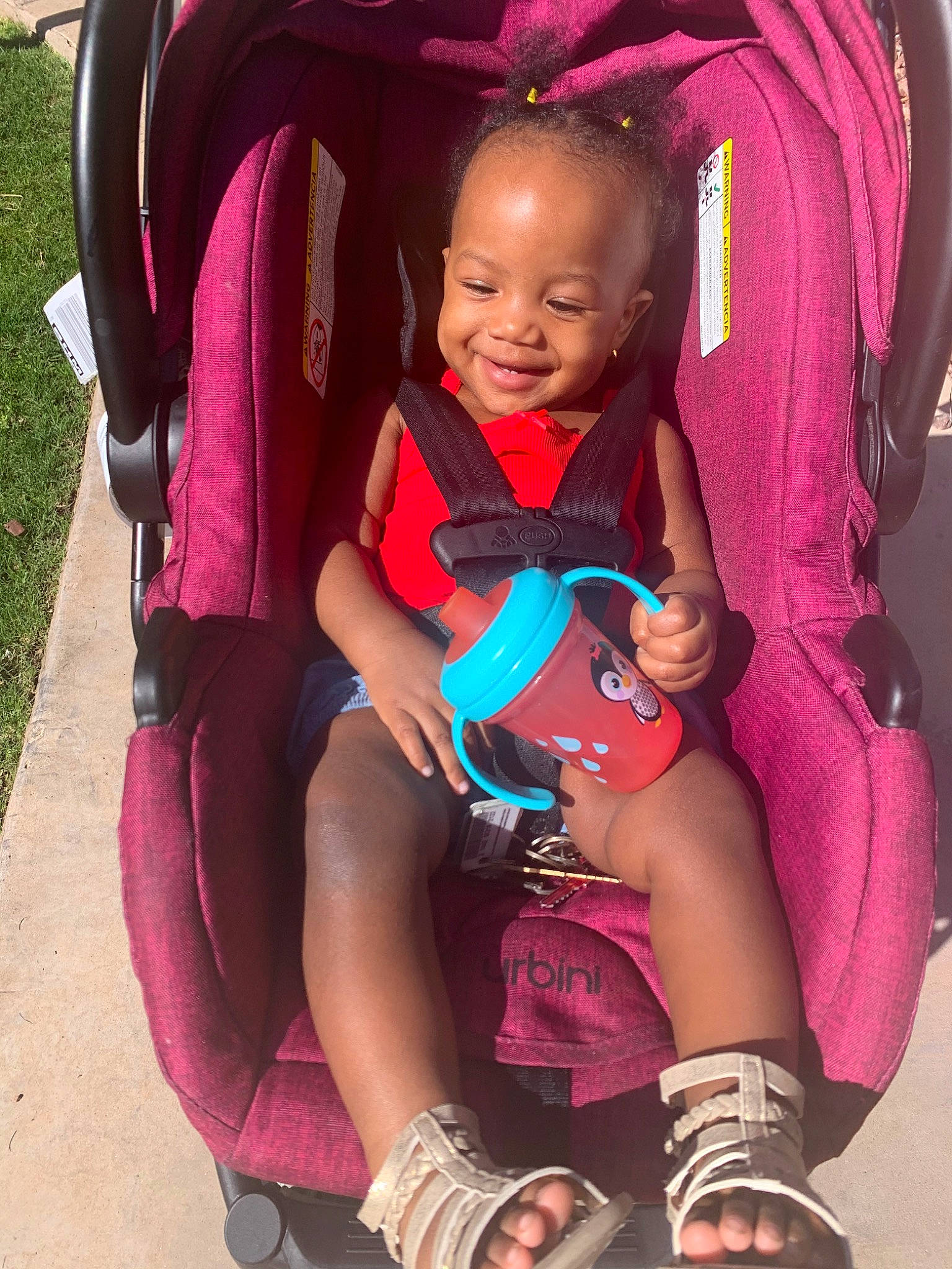 Sarai is registered to the contest to win money with this photo: baby, baby_carriage, baby_products, car_seat, cheek, child, happy, joy, magenta, people, person, pink, plant, play, product, purple, red, skin, smile, toddler