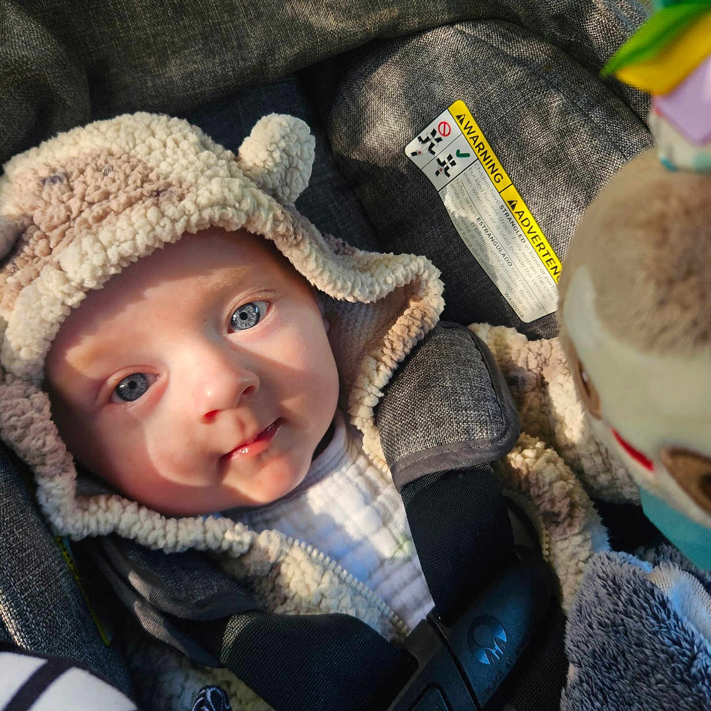 Bryce is registered to the contest to win money with this photo: baby, infant, child, stroller, car_seat, harness, portrait, smiling, blue_eyes, winter_clothing, hat, blanket, plush, cozy, seated, outdoor, close_up, safety_label, fabric, vehicle