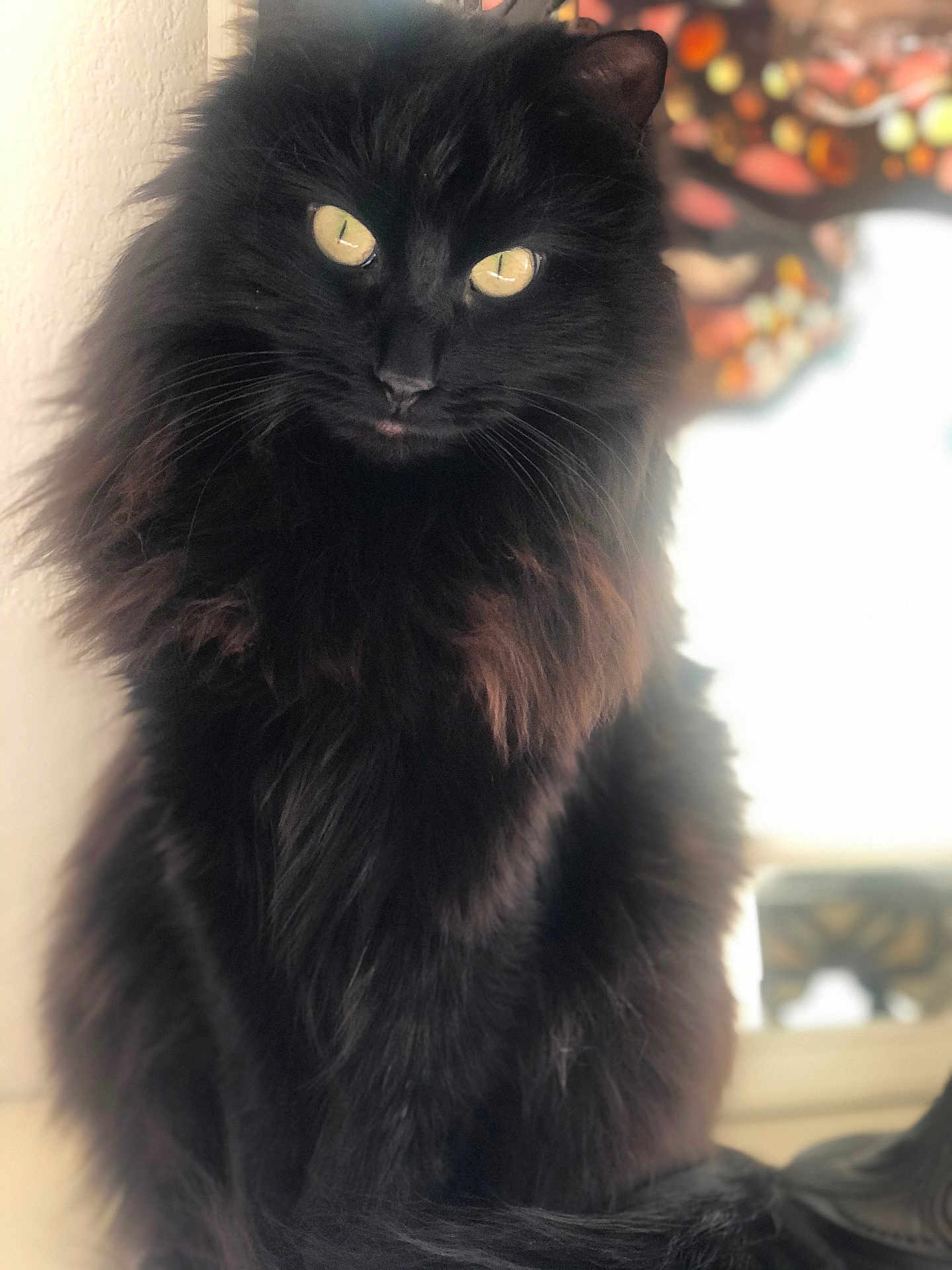 Salomé