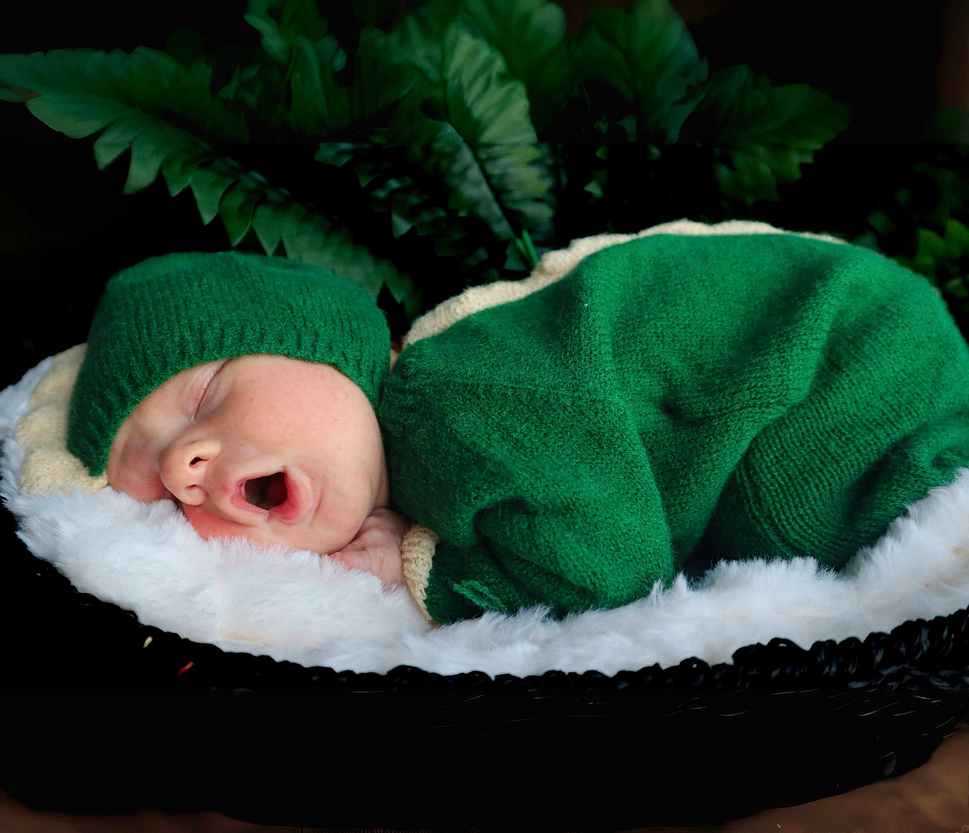 Jesse joined the competition — help win amazing prizes! baby, newborn, sleeping, green_outfit, knit_hat, cozy, cushion, fluffy, closeup, face, infant, peaceful, soft_lighting, portrait, indoors, plant, nature, cute, resting, child