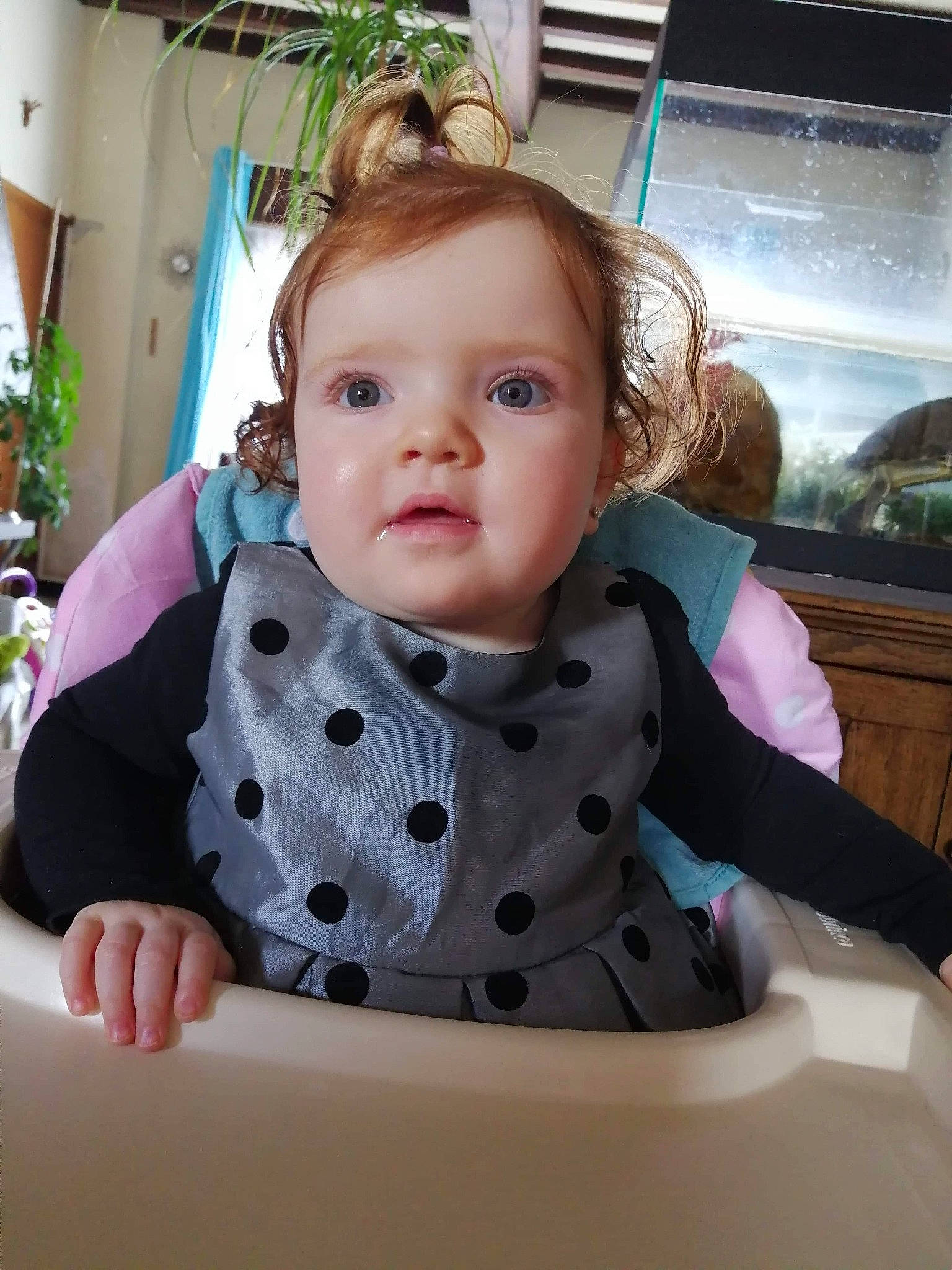 Tanaïs a rejoint le concours — aidez-le/la à gagner de superbes lots ! baby, baby_safety, baby_toddler_clothing, beauty, cheek, child, dress, eye, facial_expression, fun, hairstyle, houseplant, iris, pattern, person, plant, product, sitting, sleeve, toddler