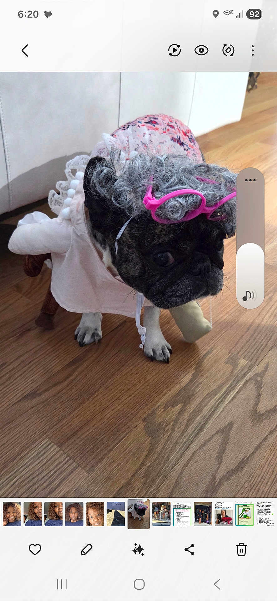 Chanel is registered to the contest to win money with this photo: dog, french_bulldog, costume, wig, pink_glasses, accessory, hardwood_floor, flooring, indoor, pet, portrait, paw, eyes, cute, outfit, cabinet, furniture, phone_screenshot, gallery_thumbnails, user_interface