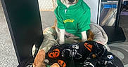 Ellie-Mae is registered to the contest to win money with this photo: dog, puppy, green_hoodie, clothing, blanket, indoor, carpet, pet, sitting, lying_down, brown_dog, tan_dog, ears, face, cute, cozy, decor, skeleton_pattern, pumpkin_pattern, resting