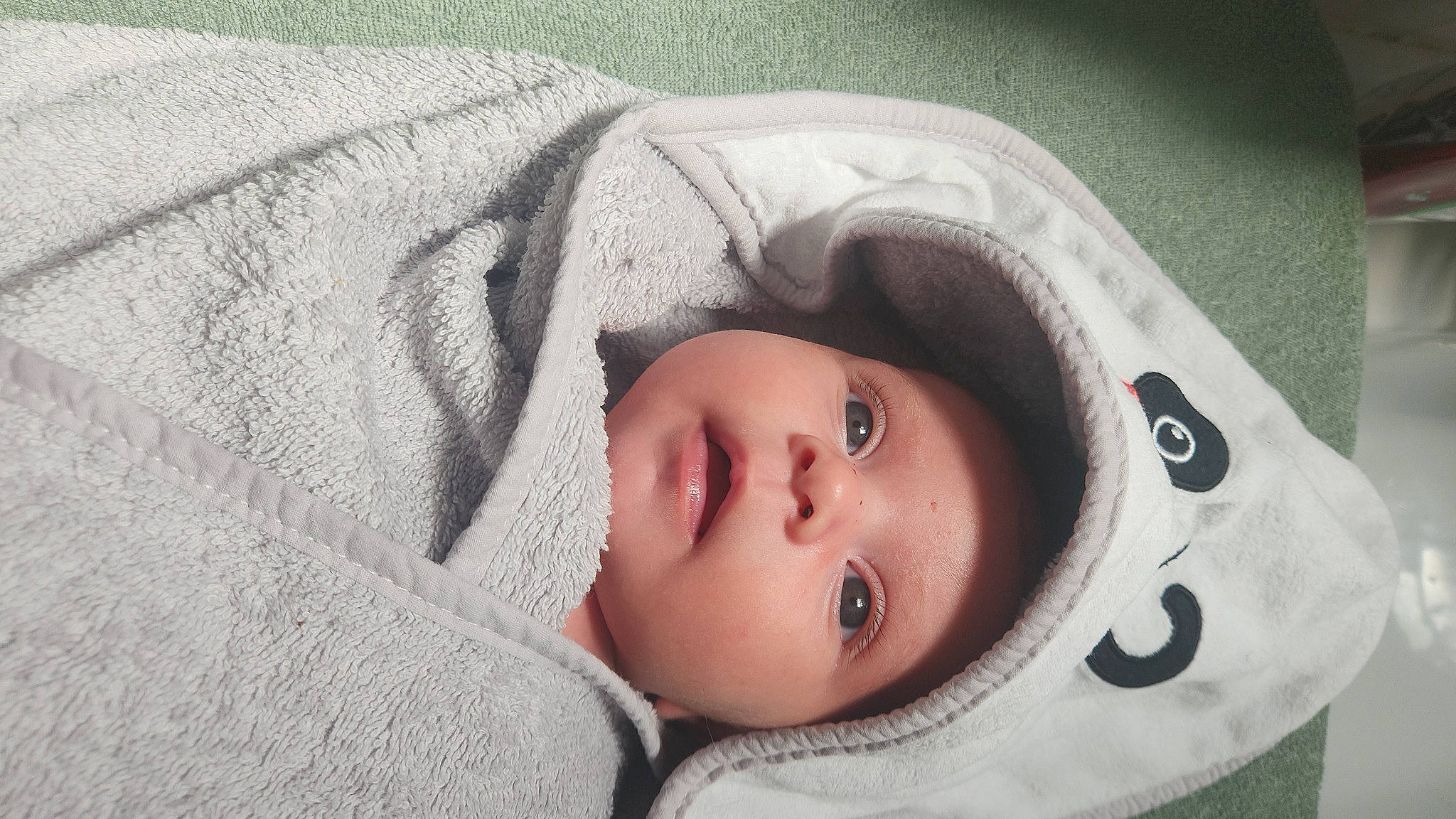 Mya a rejoint le concours — aidez-le/la à gagner de superbes lots ! baby, cheek, comfort, eye, eyebrow, eyelash, face, flash_photography, fur, grass, grey, head, headgear, headwear, iris, linens, lip, nose, person, skin