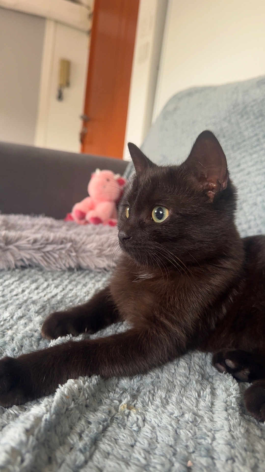 Anya