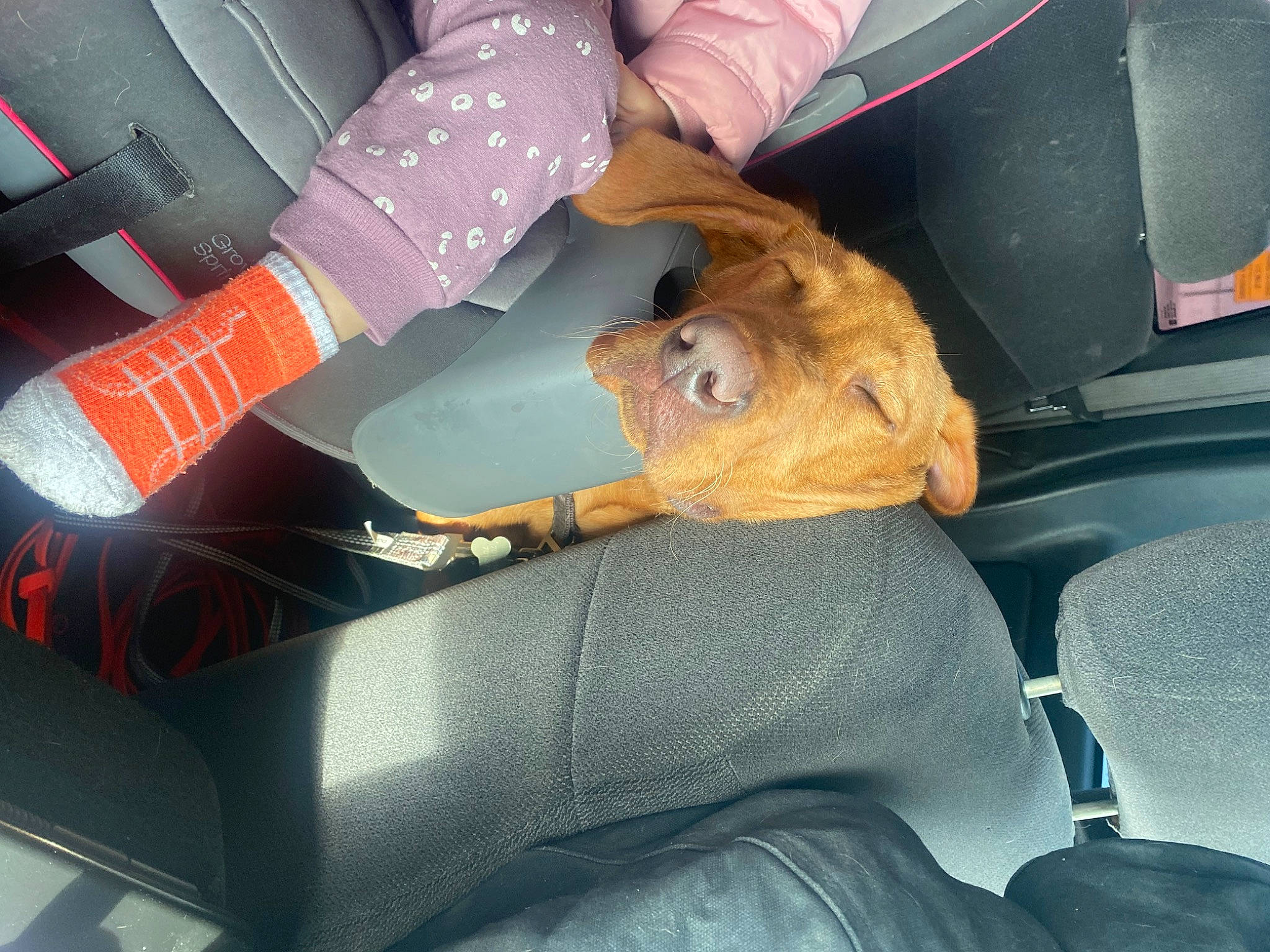 Bow is registered to the contest to win money with this photo: auto_part, automotive_design, automotive_exterior, automotive_window_part, bumper, car, car_seat, car_seat_cover, family_car, gesture, hood, human_leg, motor_vehicle, personal_luxury_car, seat_belt, steering_wheel, thigh, vehicle, vehicle_door, windshield