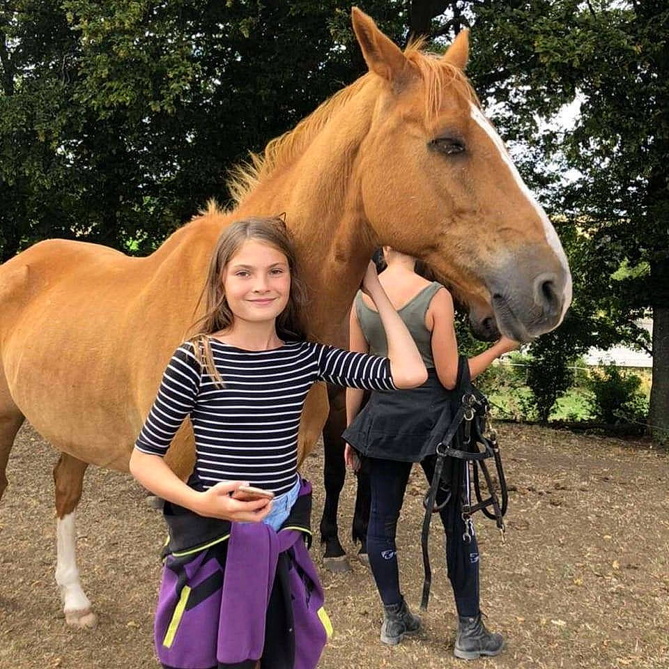 Maissa a rejoint le concours — aidez-le/la à gagner de superbes lots ! bridle, equestrianism, halter, horse, horse_supplies, horse_tack, horse_trainer, joy, livestock, mammal, mane, mare, mustang_horse, organism, pack_animal, person, recreation, riding_instructor, snout, stallion