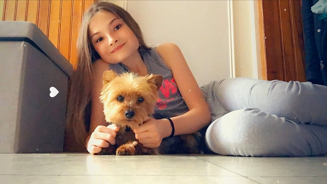 Maissa participe au concours pour gagner de l'argent avec cette photo : australian_terrier, canidae, carnivore, cavachon, companion_dog, dog, dog_breed, joy, maltepoo, mammal, morkie, norfolk_terrier, norwich_terrier, person, puppy, puppy_love, skin, small_terrier, terrier, toy_dog