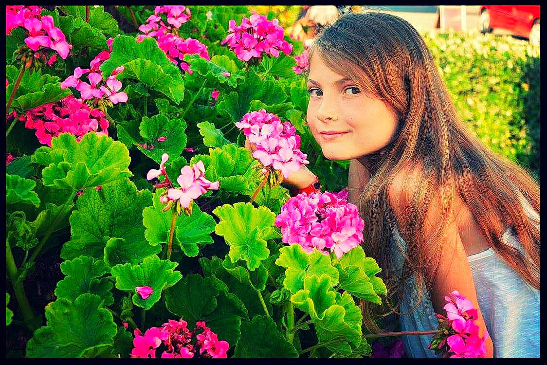 Maissa a rejoint le concours — aidez-le/la à gagner de superbes lots ! annual_plant, begonia, flower, flowering_plant, geraniaceae, geraniales, geranium, herbaceous_plant, joy, magenta, perennial_plant, person, petal, pink, plant, spring