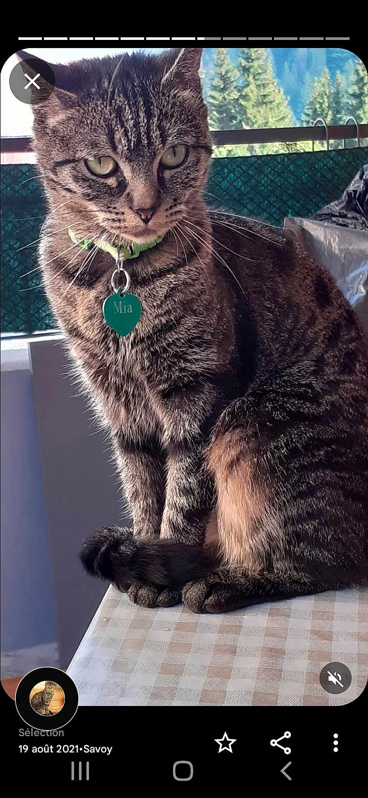 Mia
