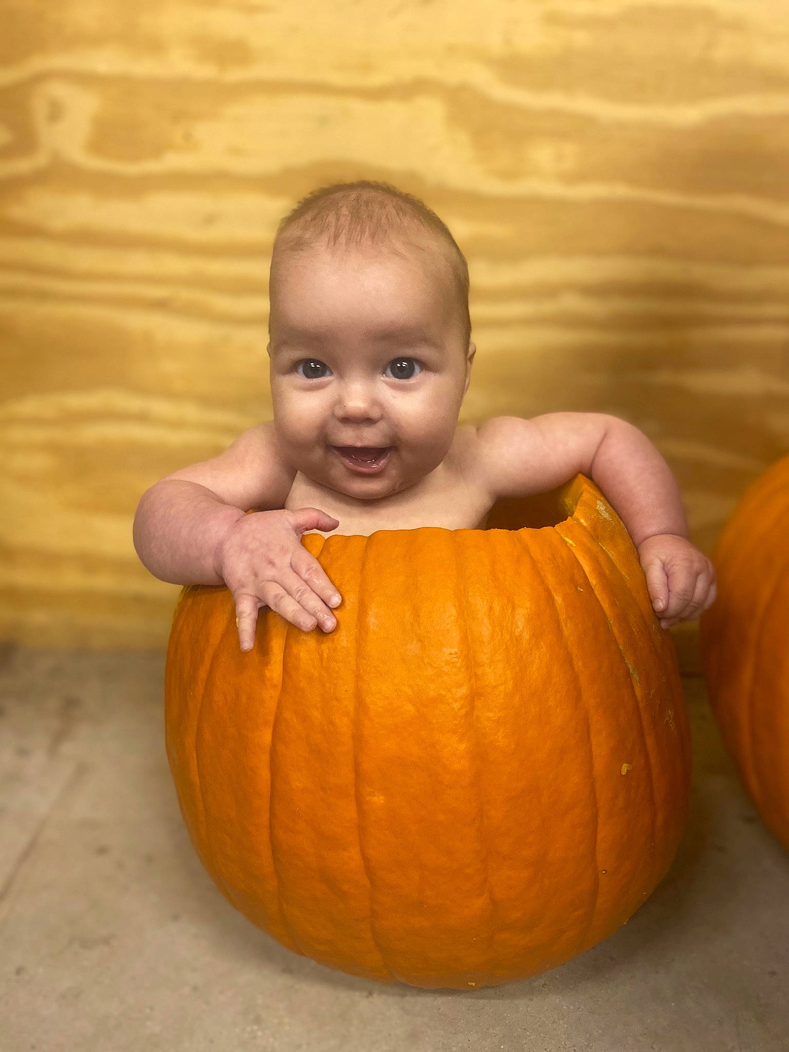 Evalynn is registered to the contest to win money with this photo: arm, calabaza, eye, food, fruit, gourd, hair, happy, head, human_body, iris, leg, natural_foods, nose, person, plant, pumpkin, smile, squash, winter_squash