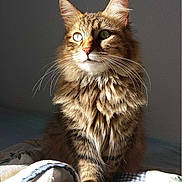 HAYDEN participe au concours pour gagner de l'argent avec cette photo :