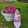 Elena joined the competition — help win amazing prizes! toddler, child, flower_pot, flowers, pink_flowers, yellow_flowers, purple_flowers, green_grass, outdoor, park, dress, sandals, sippy_cup, smile, person, nature, daytime, plants, cute, young_girl