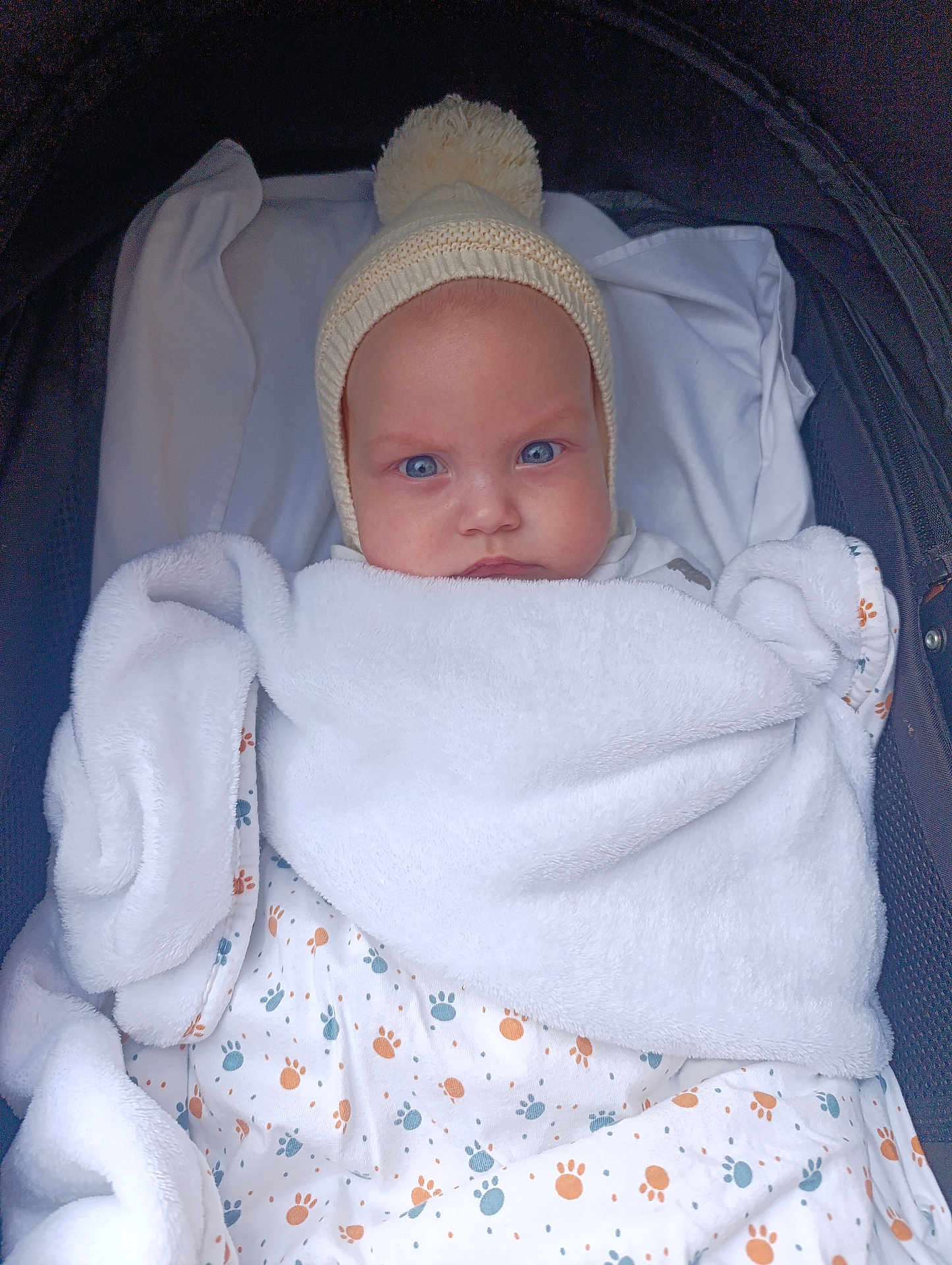 Matteo participe au concours pour gagner de l'argent avec cette photo : baby, infant, blanket, hat, pom_pom, stroller, blue_eyes, clothing, warm, cozy, cute, face, portrait, child, newborn, white, soft, baby_blanket, indoor, wrapped
