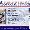 american_flag, animal, black_and_white, california, canine, card, dalmatian, document, dog, identification_card, official, patriotic, pet, portrait, printed_text, profile_photo, qr_code, registry, service_dog, spotted