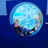 Alessio a rejoint le concours — aidez-le/la à gagner de superbes lots ! aquarium, blue_wall, boots, boy, child, coral_reef, curious_expression, fish, handbag, indoor, jeans, plaid_shirt, porthole_window, portrait, round_window, sea_life, sitting, toddler, viewing, wooden_floor