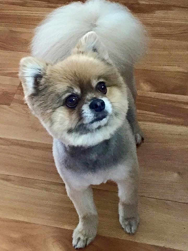 Missy