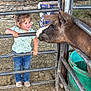 Gracie is registered to the contest to win money with this photo: child, toddler, pony, animal, barn, fence, metal, hay, dirt, boots, jeans, tshirt, smiling, curious, outdoor, farm, pet, interaction, cute, rustic